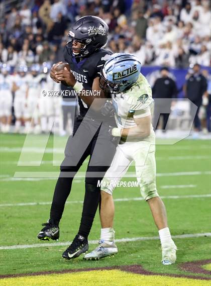 Thumbnail 3 in Cactus @ Higley (AIA 5A Final) photogallery.