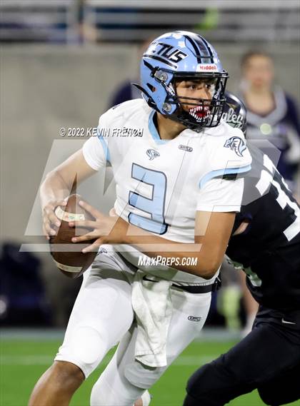 Thumbnail 1 in Cactus @ Higley (AIA 5A Final) photogallery.