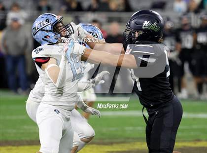 Thumbnail 2 in Cactus @ Higley (AIA 5A Final) photogallery.
