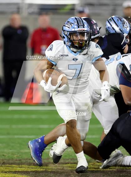 Thumbnail 1 in Cactus @ Higley (AIA 5A Final) photogallery.