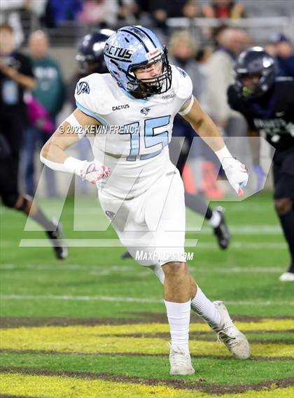 Thumbnail 1 in Cactus @ Higley (AIA 5A Final) photogallery.