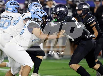 Thumbnail 3 in Cactus @ Higley (AIA 5A Final) photogallery.