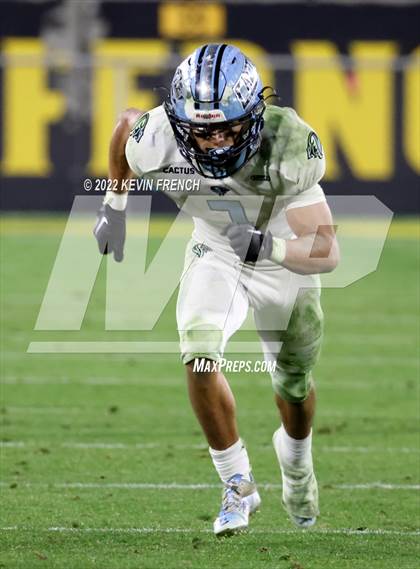 Thumbnail 3 in Cactus @ Higley (AIA 5A Final) photogallery.