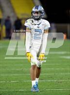 Photo from the gallery "Cactus @ Higley (AIA 5A Final)"