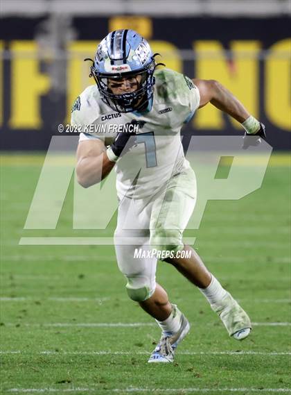 Thumbnail 1 in Cactus @ Higley (AIA 5A Final) photogallery.