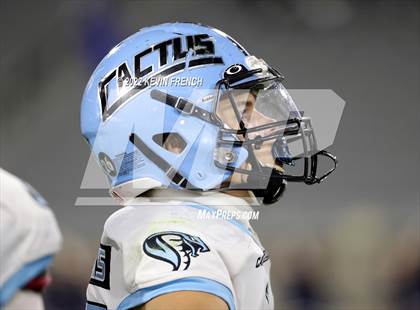 Thumbnail 3 in Cactus @ Higley (AIA 5A Final) photogallery.