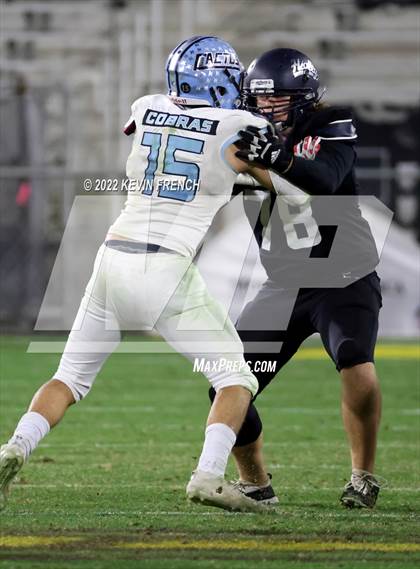 Thumbnail 1 in Cactus @ Higley (AIA 5A Final) photogallery.