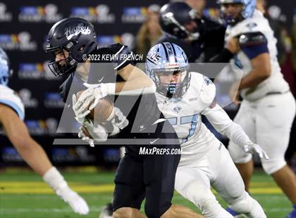 Thumbnail 1 in Cactus @ Higley (AIA 5A Final) photogallery.