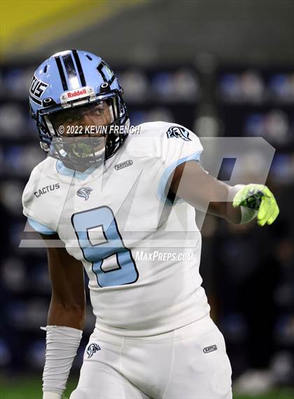 Thumbnail 1 in Cactus @ Higley (AIA 5A Final) photogallery.