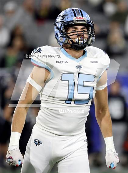Thumbnail 2 in Cactus @ Higley (AIA 5A Final) photogallery.