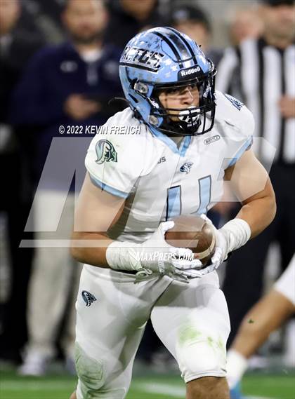 Thumbnail 1 in Cactus @ Higley (AIA 5A Final) photogallery.