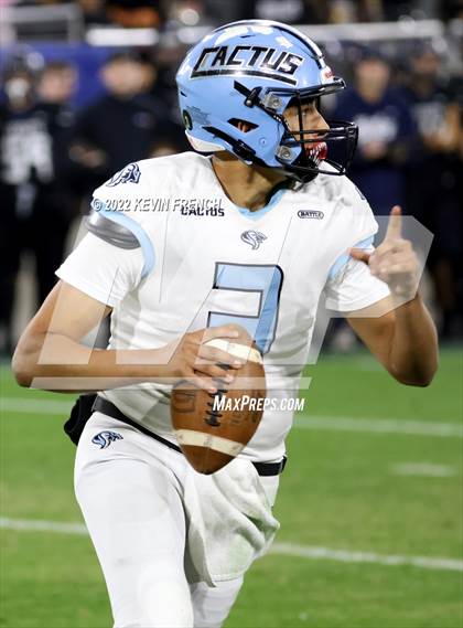 Thumbnail 1 in Cactus @ Higley (AIA 5A Final) photogallery.