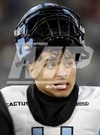 Photo from the gallery "Cactus @ Higley (AIA 5A Final)"