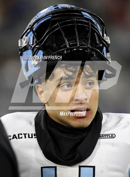 Thumbnail 3 in Cactus @ Higley (AIA 5A Final) photogallery.