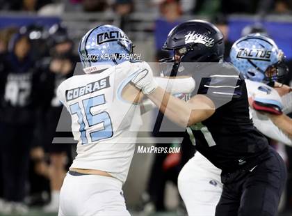 Thumbnail 1 in Cactus @ Higley (AIA 5A Final) photogallery.