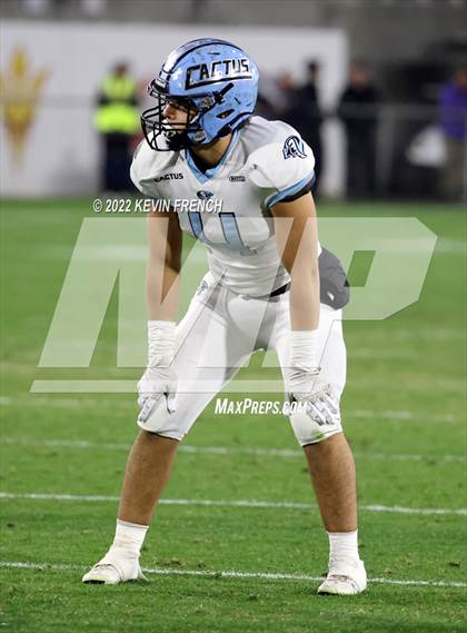 Thumbnail 2 in Cactus @ Higley (AIA 5A Final) photogallery.