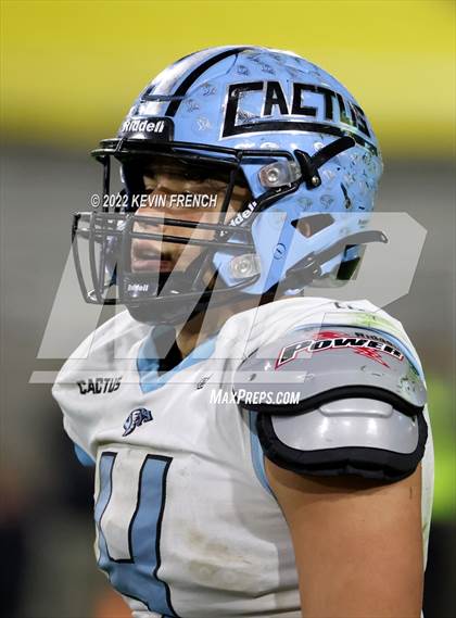 Thumbnail 3 in Cactus @ Higley (AIA 5A Final) photogallery.