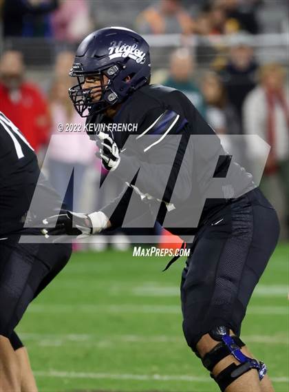 Thumbnail 1 in Cactus @ Higley (AIA 5A Final) photogallery.