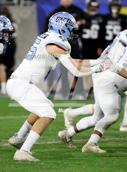 Thumbnail 2 in Cactus @ Higley (AIA 5A Final) photogallery.