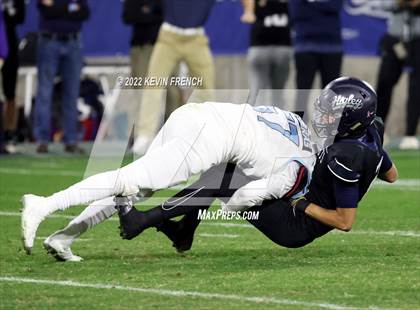 Thumbnail 1 in Cactus @ Higley (AIA 5A Final) photogallery.