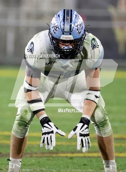 Thumbnail 2 in Cactus @ Higley (AIA 5A Final) photogallery.