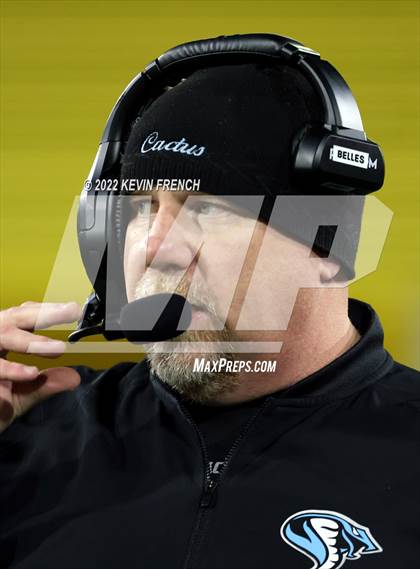 Thumbnail 2 in Cactus @ Higley (AIA 5A Final) photogallery.