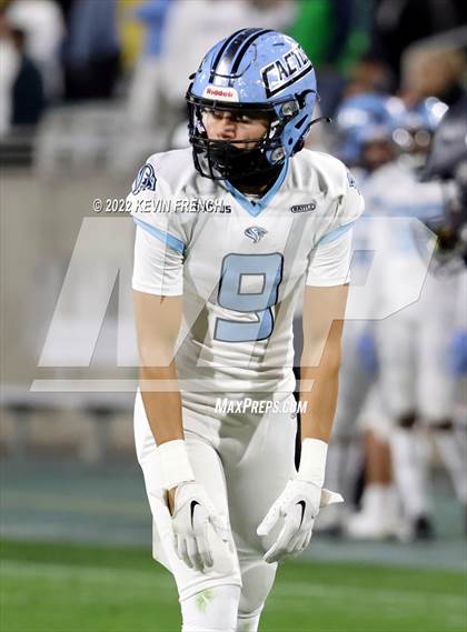 Thumbnail 1 in Cactus @ Higley (AIA 5A Final) photogallery.