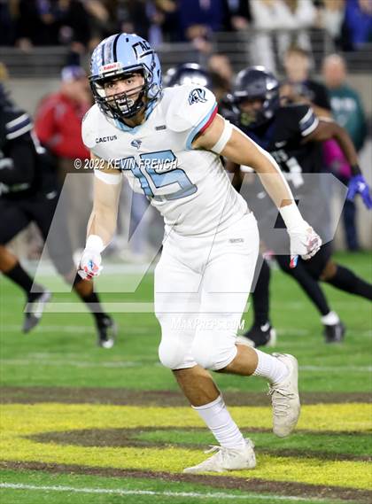 Thumbnail 3 in Cactus @ Higley (AIA 5A Final) photogallery.