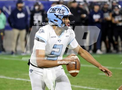 Thumbnail 3 in Cactus @ Higley (AIA 5A Final) photogallery.
