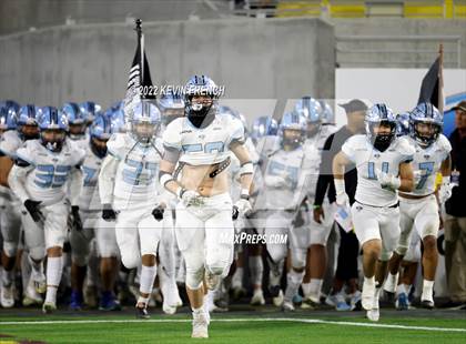 Thumbnail 1 in Cactus @ Higley (AIA 5A Final) photogallery.