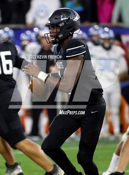 Thumbnail 2 in Cactus @ Higley (AIA 5A Final) photogallery.