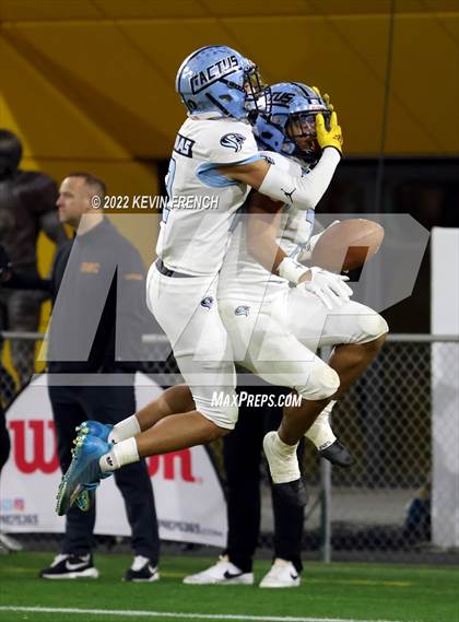 Thumbnail 1 in Cactus @ Higley (AIA 5A Final) photogallery.