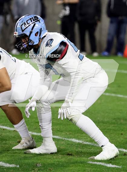 Thumbnail 2 in Cactus @ Higley (AIA 5A Final) photogallery.