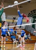 Photo from the gallery "Triton @ Pine Forest"