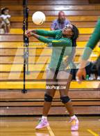 Photo from the gallery "Triton @ Pine Forest"