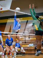 Photo from the gallery "Triton @ Pine Forest"