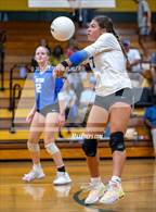 Photo from the gallery "Triton @ Pine Forest"