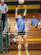 Photo from the gallery "Triton @ Pine Forest"