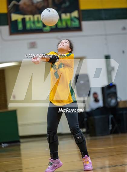 Thumbnail 2 in Triton @ Pine Forest photogallery.