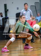 Photo from the gallery "Triton @ Pine Forest"