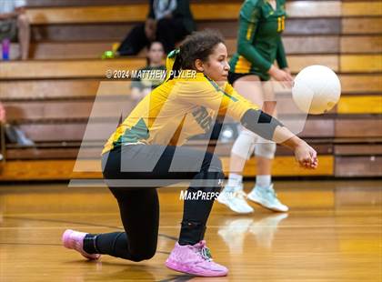 Thumbnail 3 in Triton @ Pine Forest photogallery.