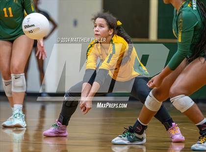 Thumbnail 3 in Triton @ Pine Forest photogallery.