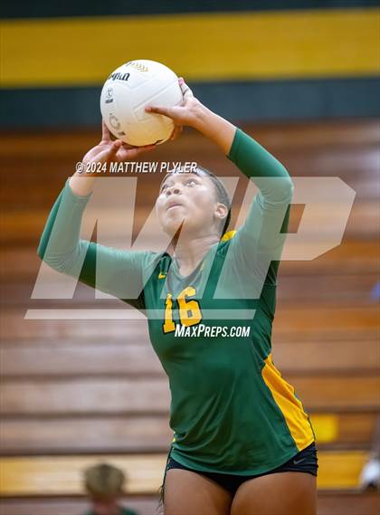 Thumbnail 3 in Triton @ Pine Forest photogallery.