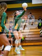 Photo from the gallery "Triton @ Pine Forest"