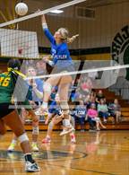 Photo from the gallery "Triton @ Pine Forest"