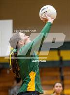 Photo from the gallery "Triton @ Pine Forest"