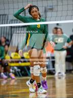 Photo from the gallery "Triton @ Pine Forest"