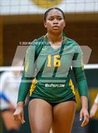 Photo from the gallery "Triton @ Pine Forest"