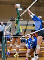 Photo from the gallery "Triton @ Pine Forest"