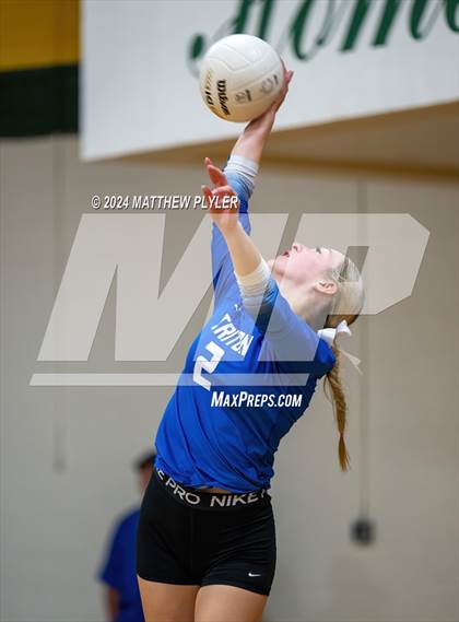 Thumbnail 1 in Triton @ Pine Forest photogallery.
